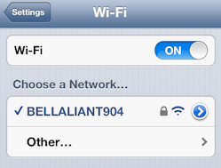 A checkmark will appear beside the wireless network name